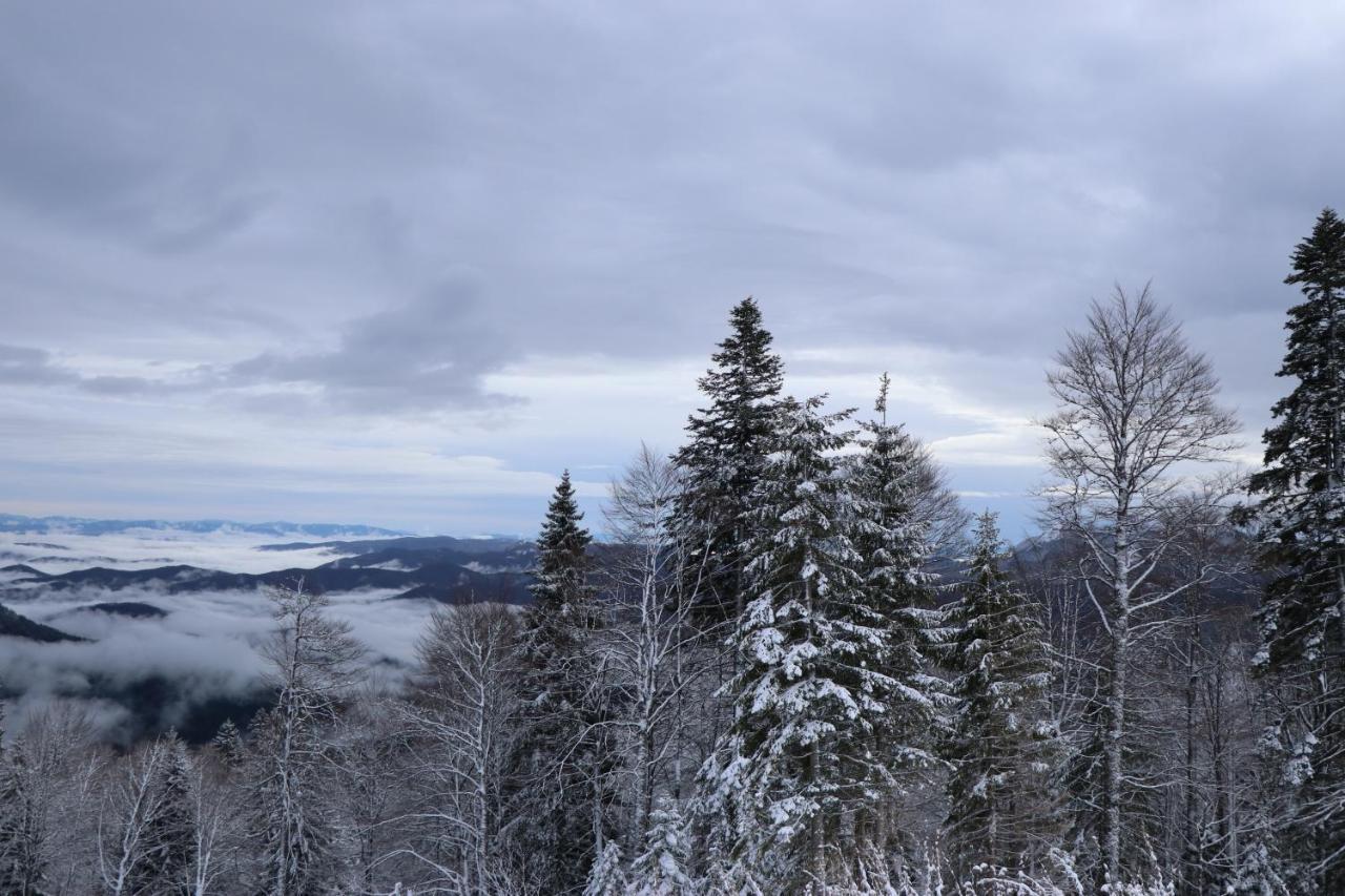 Apartmani Vidik - Groodvy House Jahorina Bagian luar foto